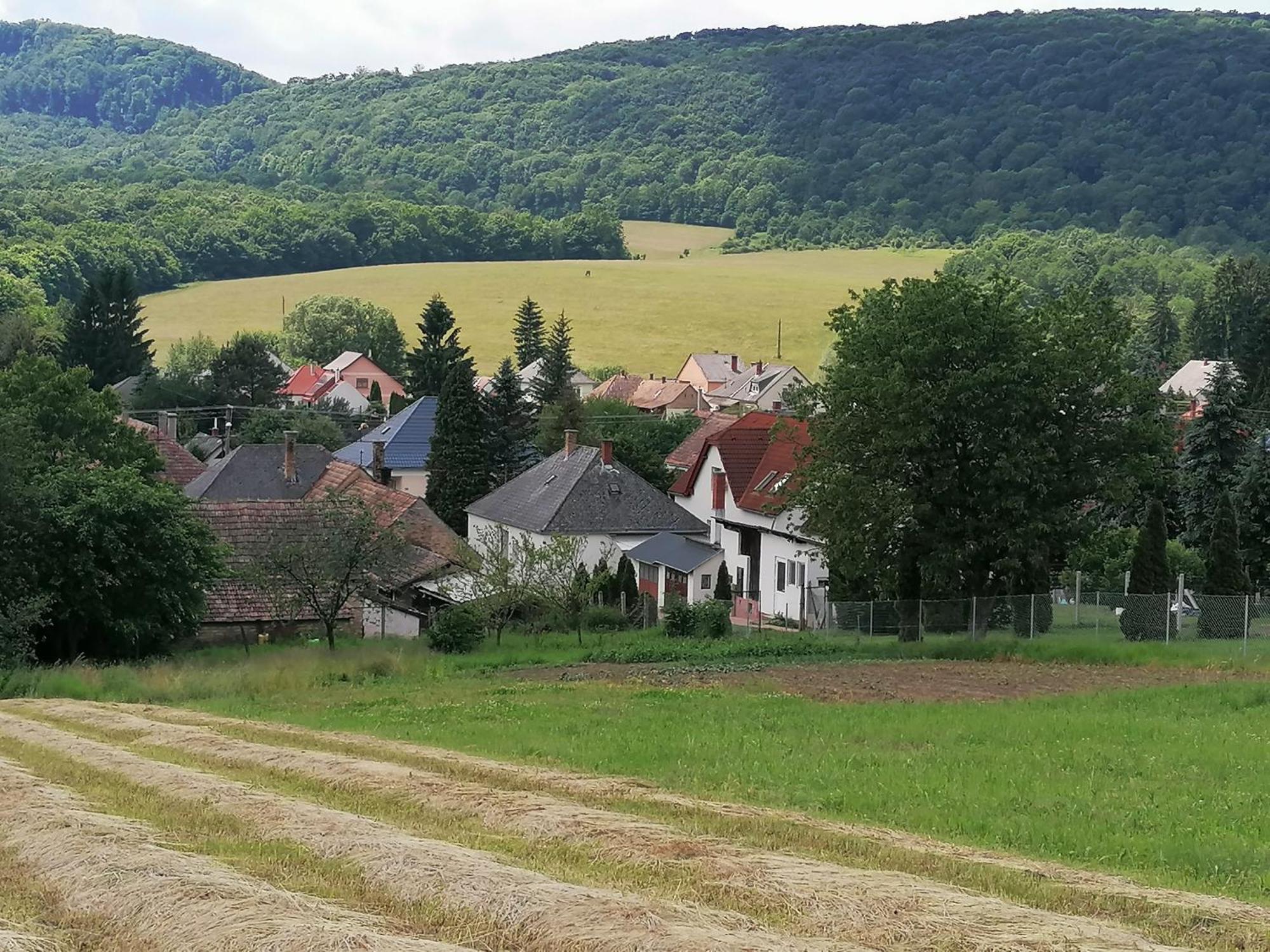 Borostyankut Wellness Home Bakonybél Dış mekan fotoğraf