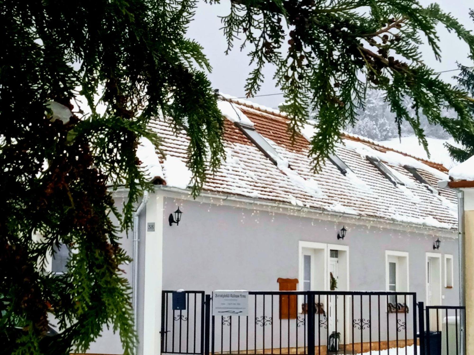 Borostyankut Wellness Home Bakonybél Dış mekan fotoğraf
