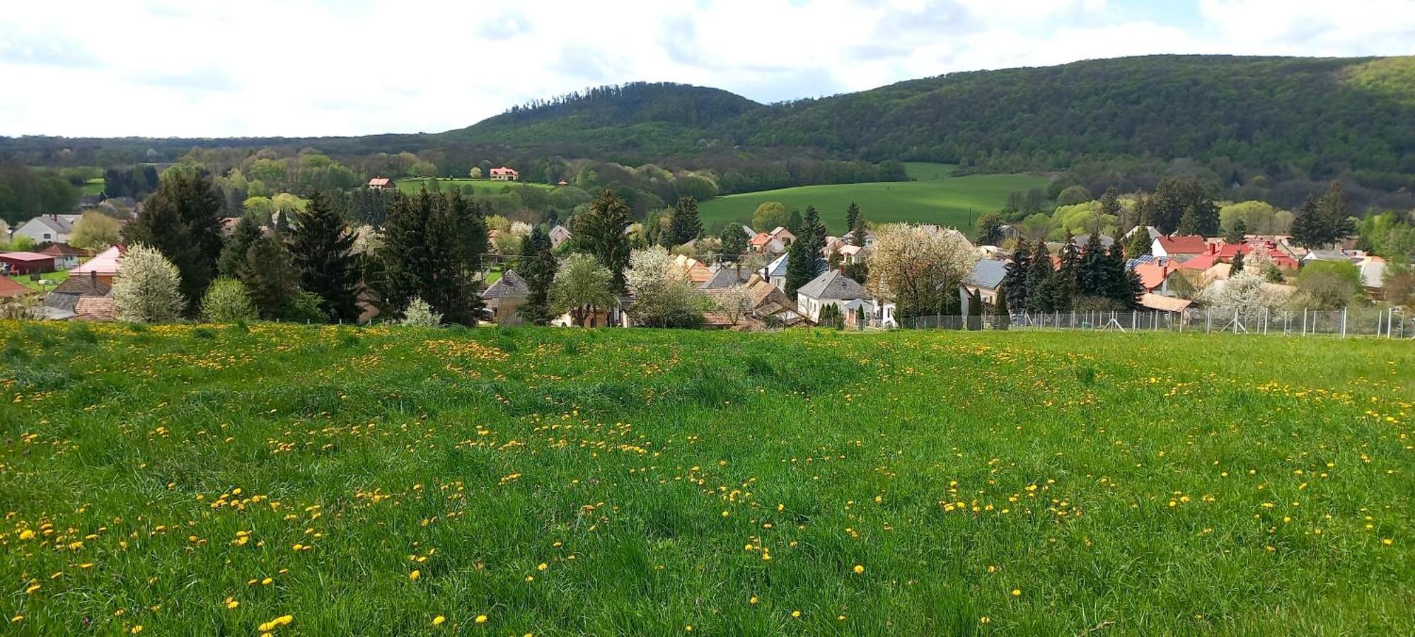 Borostyankut Wellness Home Bakonybél Dış mekan fotoğraf
